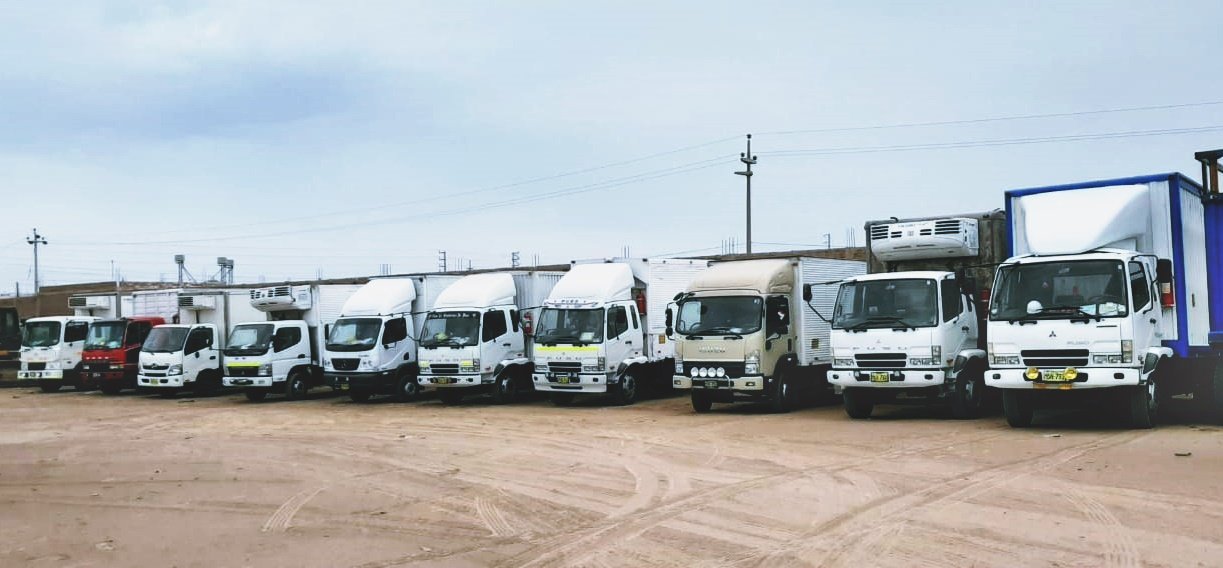 somos-una-empresa-peruana-con-amplia-experiencia-en-servicios-de-transporte-terrestre-a-nivel-local